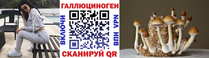купить   Нахабино  mega рабочий сайт  Галлюциногенные грибы ЛСД 