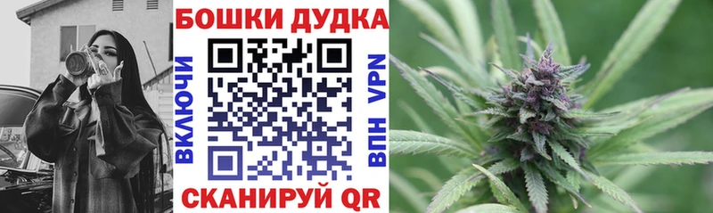 продажа наркотиков  Нахабино  Бошки Шишки AK-47 